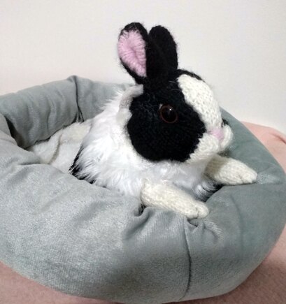 Dutch Rabbit #3