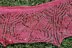 Hibiscus Garden Shawl/Shawlette