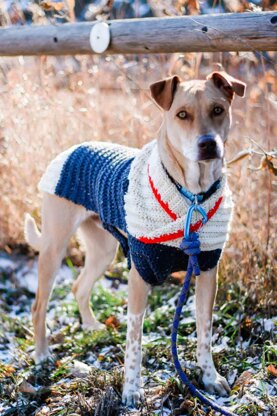 Ready to Roam Dog Sweater