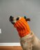 Pumpkin Dog Snood