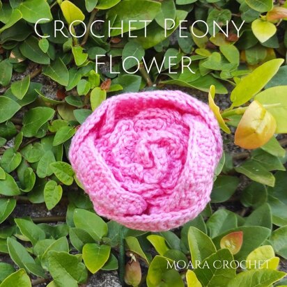 Crochet Peony Flower