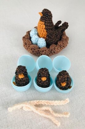 Spring Robin Bird Set