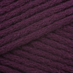 Dried Plum (5780)