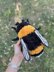 Fuzzy Bumblebee