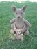 Mommy Kangaroo with a Baby Joey