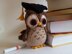 Owl Graduate