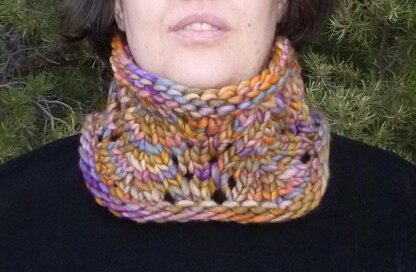 Merlot Cowl