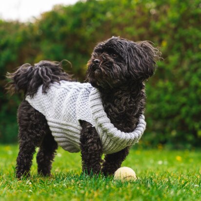 Dog Coat - knitting pattern