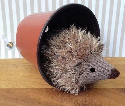 Garden Hedgehog - Chocolate Orange Cover