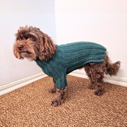 Cozy Canine Rib-Knit