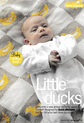 Baby Ducks Nursery Quilt Blocks (stamped cross stitch)