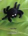 CROCHET PATTERN Halloween Spider Amigurumi Spider Applique Halloween Accessories Spider Brooch Spider Crochet Pattern Spider Accessory