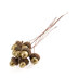 Groves Glitter Acorns on Wire: 8 Pieces