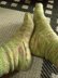 Moss Socks