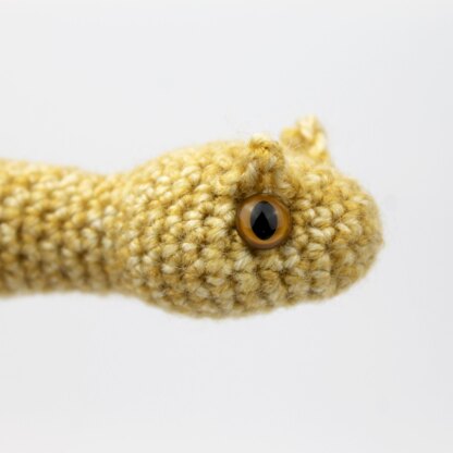 Horned viper