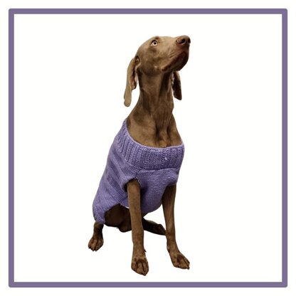 Extra large deals dog jumper