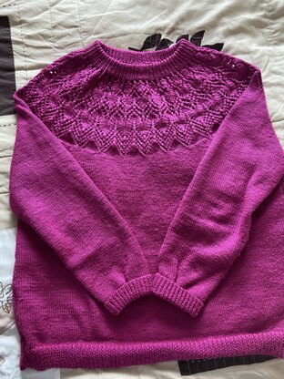 Ladies sweater