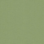 Olive (6016)
