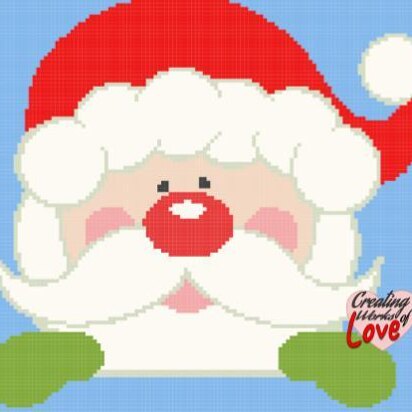 Santa Head Stitch Graph