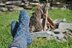 A Family of Thick Socks