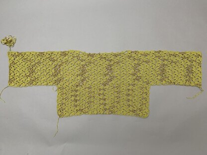 Lacy Crochet Sweater Top