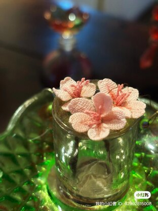 Cherry blossom branch