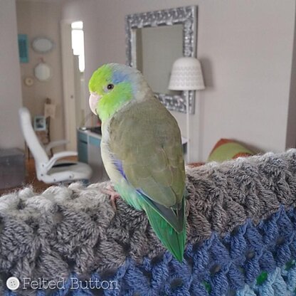 Parrotlet's Flight Blanket