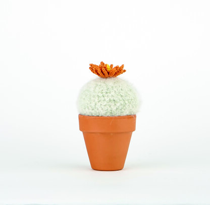 Crocheted Cactuses by Sarah Abbondio