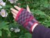 Anemone fingerless mittens