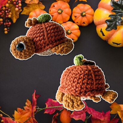 Fruit Turtle Series | Pumpkin