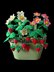 Crochet Strawberry plant