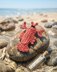 Fidget Clicker Lobster English-US