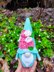 Gnome hydrangea