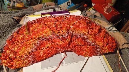 Soaring Dragons Shawl