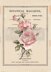 Prima Marketing Prima Re-Design Decor Transfer - Beautiful Botanist 24"X34"