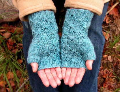 Trailside Mitts