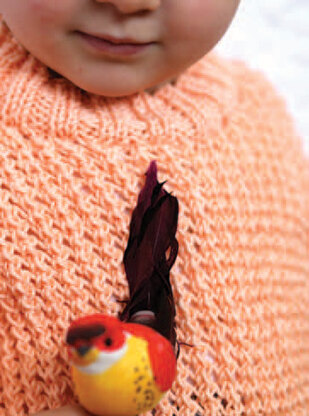 Blossom Sweater in Ella Rae Phoenix DK - ER20-01 - Downloadable PDF