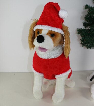 Dog Christmas Santa Hat and Coat