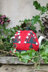 Knitted Cosies by Monica Russel