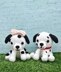 Dalmatian Couple