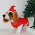 Dog Christmas Santa Hat and Coat