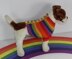Small Dog Rainbow Back Button Up Dog Coat
