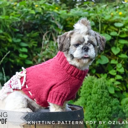 Lace cherry dress for dog - knitting pattern