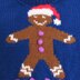 Kid's Gingerbread Jumper