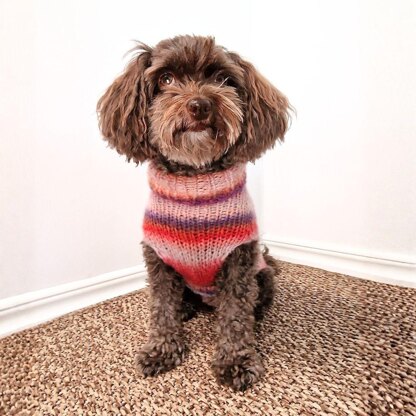 Easy-Peasy Pup Knit