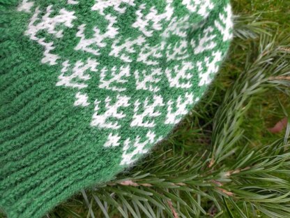 Spruce Beanie