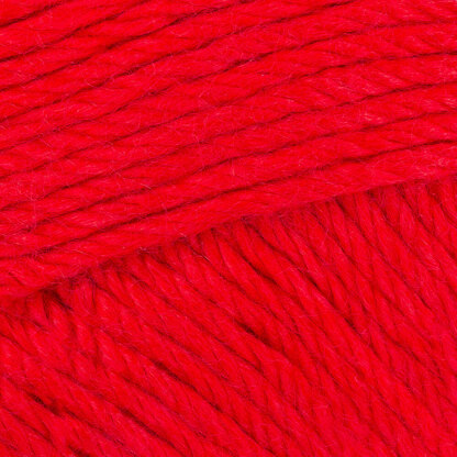Flamenco (242)