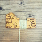 Dachshund