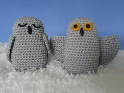 Snowy Owls