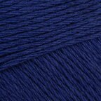 Night Blue (1304)